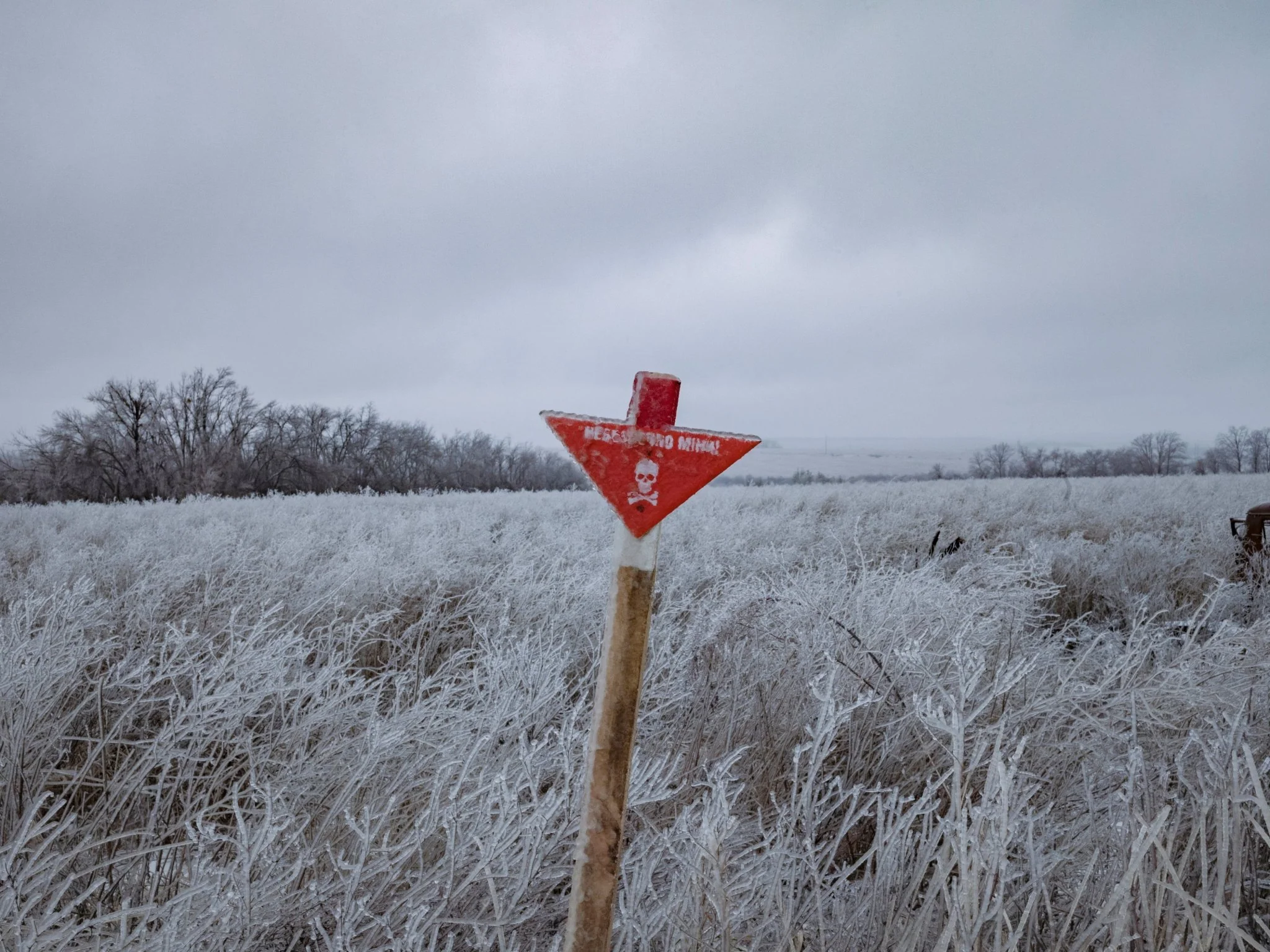 Father's Day Last Minute Sale